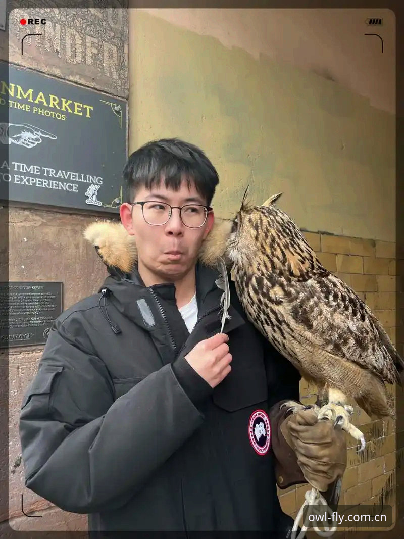 OWL体育App下载 猫头鹰体育平台全面评测:从OWL体育App下载到赛事数据分析的实战体验