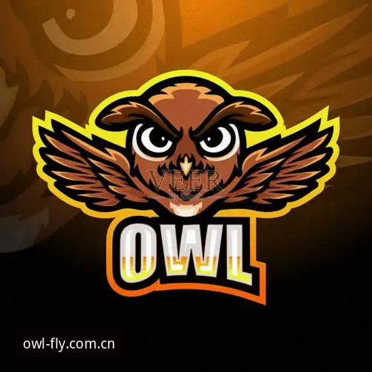 猫头鹰体育平台使用与安装详细教程：从零开始掌握OWL体育App