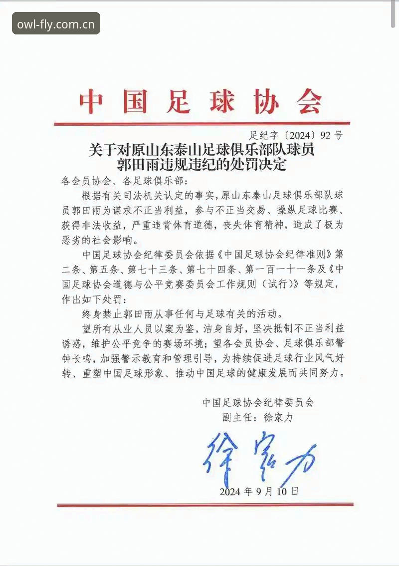 看透足协禁足名单，掌握赛事分析的关键