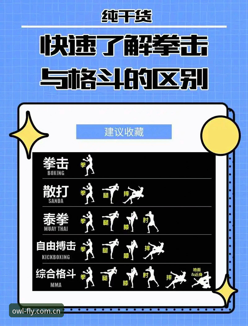 OWL体育分析平台 老用户聊聊猫头鹰体育平台:从入门到离不开的实战经验分享